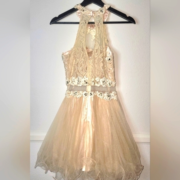 Dancing Queen Whimsical Romantic Lace & Tulle  Embroidered Dress Size XS - Picture 7 of 12
